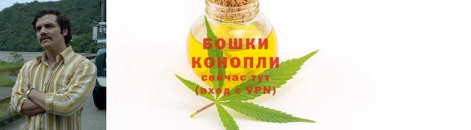 дмт Зеленокумск