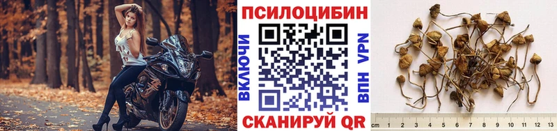 нарко площадка официальный сайт  Искитим  Галлюциногенные грибы мухоморы 