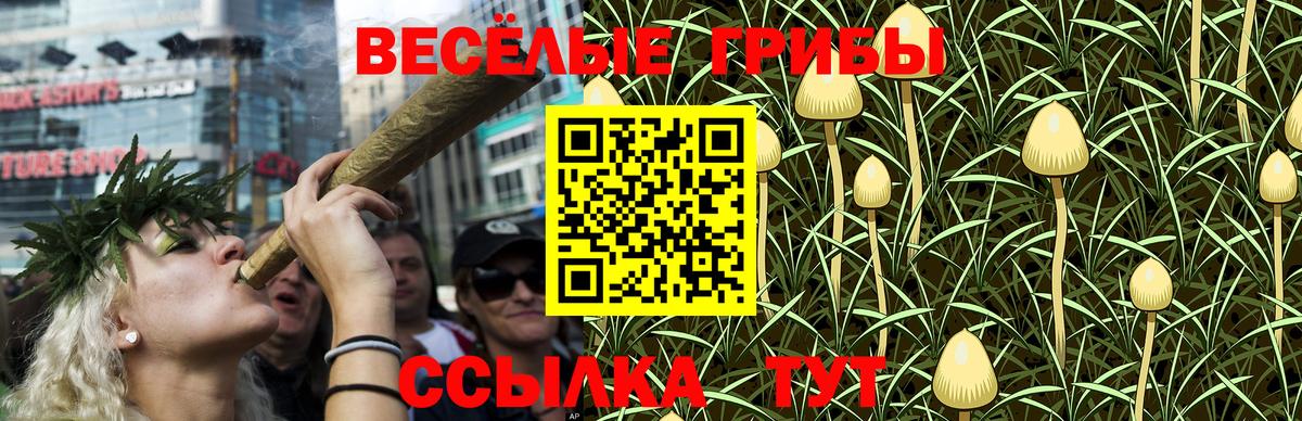 Галлюциногенные грибы Cubensis  Псилоцибиновые грибы Psilocybine cubensis  Искитим 