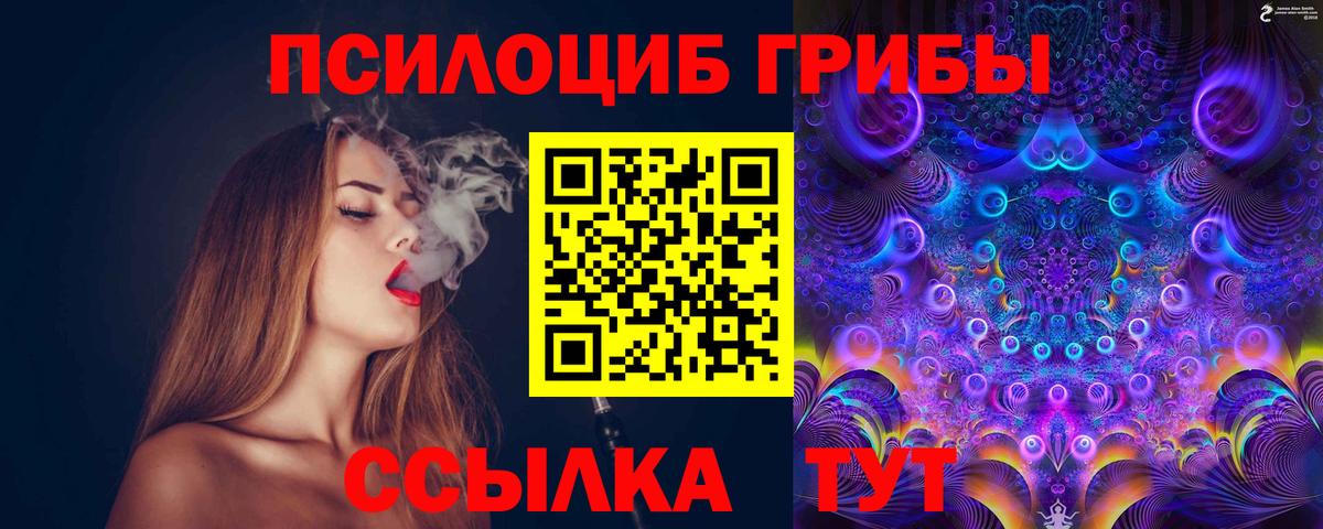 Псилоцибиновые грибы мицелий Искитим