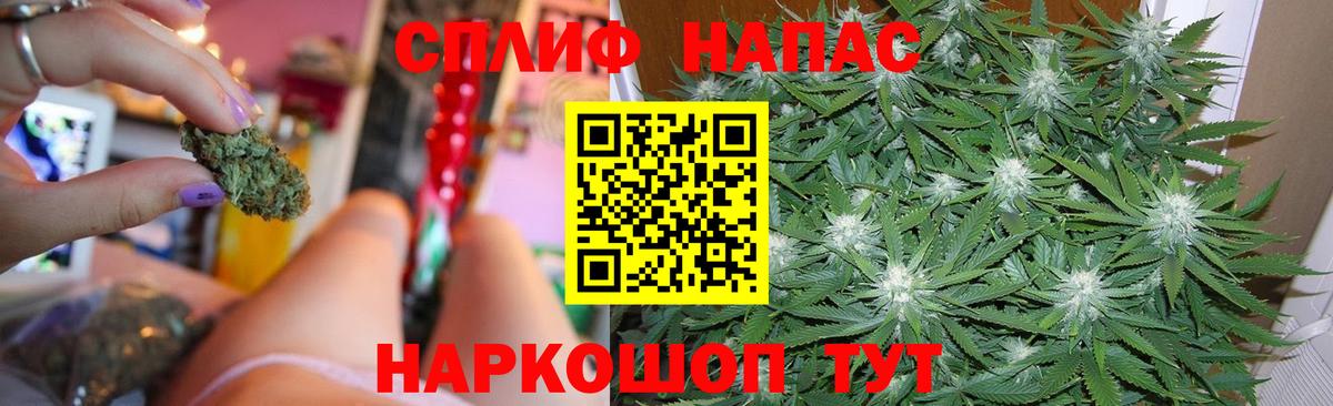 Бошки Шишки сатива Искитим